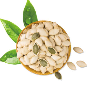 Bulk organic Wholesale New Pumpkin Seed Kernels Snow White Chinese Snow white pumpkin seeds in shell
