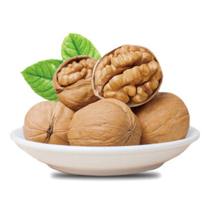 Xinjiang,Chinese Walnuts 185 High quality organic in shell
