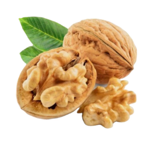 185 Xin 2 Unwashed and Washed TOP Quality Paper Walnut Shelled Walnut Kernel Halves Broken Pieces From China