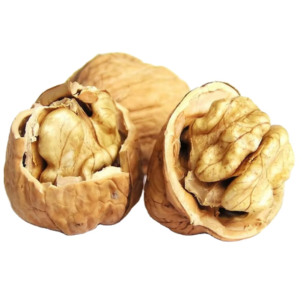 185 Walnut Shelled Good Quality Walnut Kernel Paper Shell
