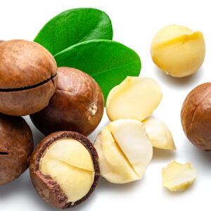 Fresh Raw Healthy Wholesale Delicious Dried Pecan Kernel #1#0