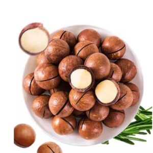 High Quality Fresh Healthy Wholesale Delicious Dried Macadamia Nut